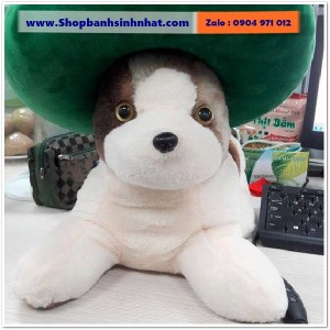 Gấu Bông Teddy Hàn Quốc - GAU57